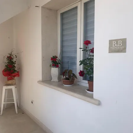 לינה וארוחת בוקר Passione Salento 3*