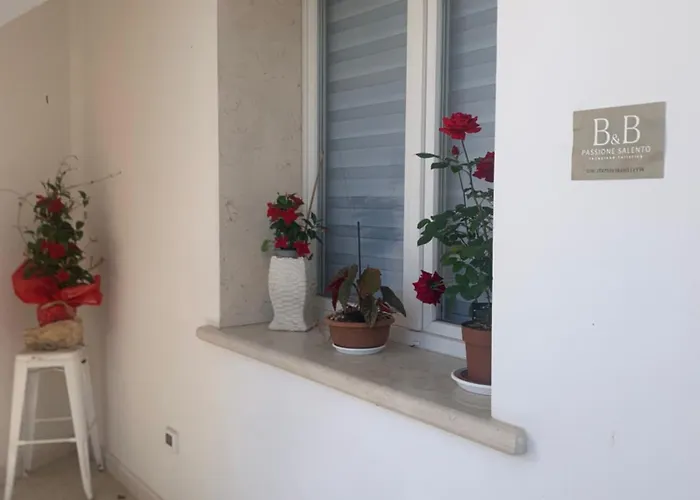 Bed & Breakfast Passione Salento 3*