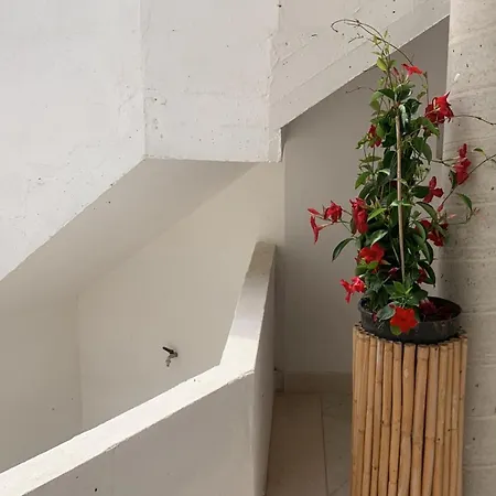 Passione Salento Bed & Breakfast