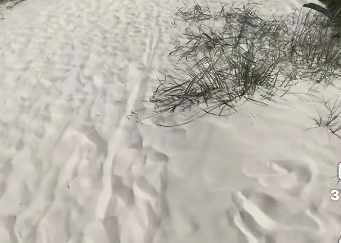 Bed & Breakfast Passione Salento