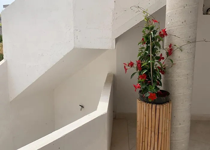 Passione Salento B&B